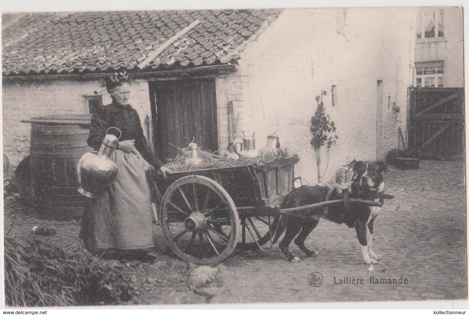 LAITIERE FLAMANDE  AVEC ATTELAGE DE CHIEN écrite En 1914 - Andere & Zonder Classificatie