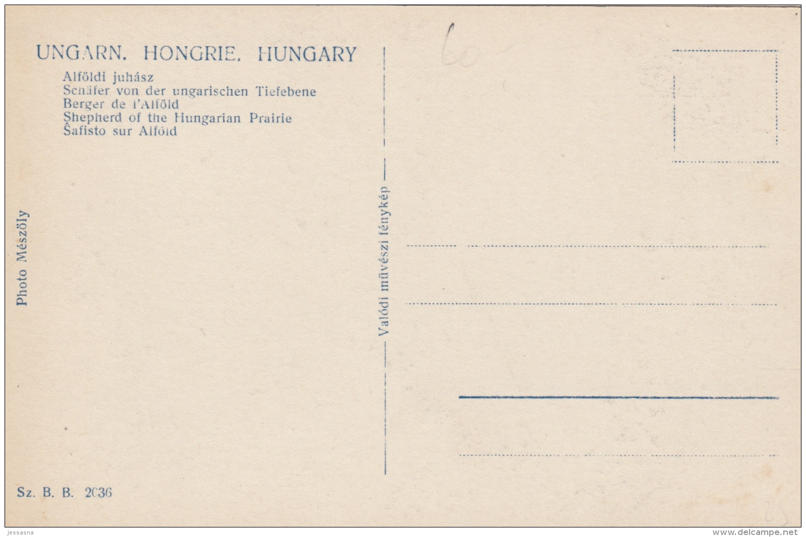 AK- Ungarn - Ungarischer Schäfer In Der Tiefebene - 1920 - Ungarn