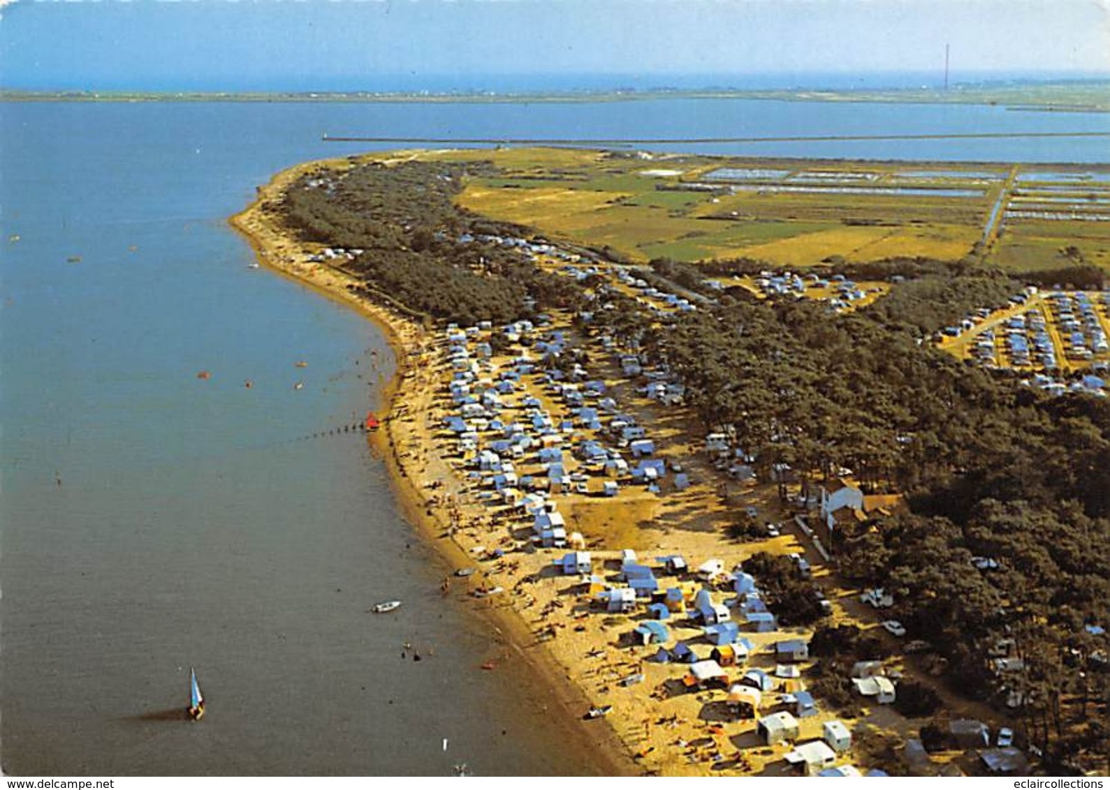 Ile De Noirmoutier 85 :  Bois De La Chaize. Camping Des Sableaux .   (voir Scan) - Ile De Noirmoutier