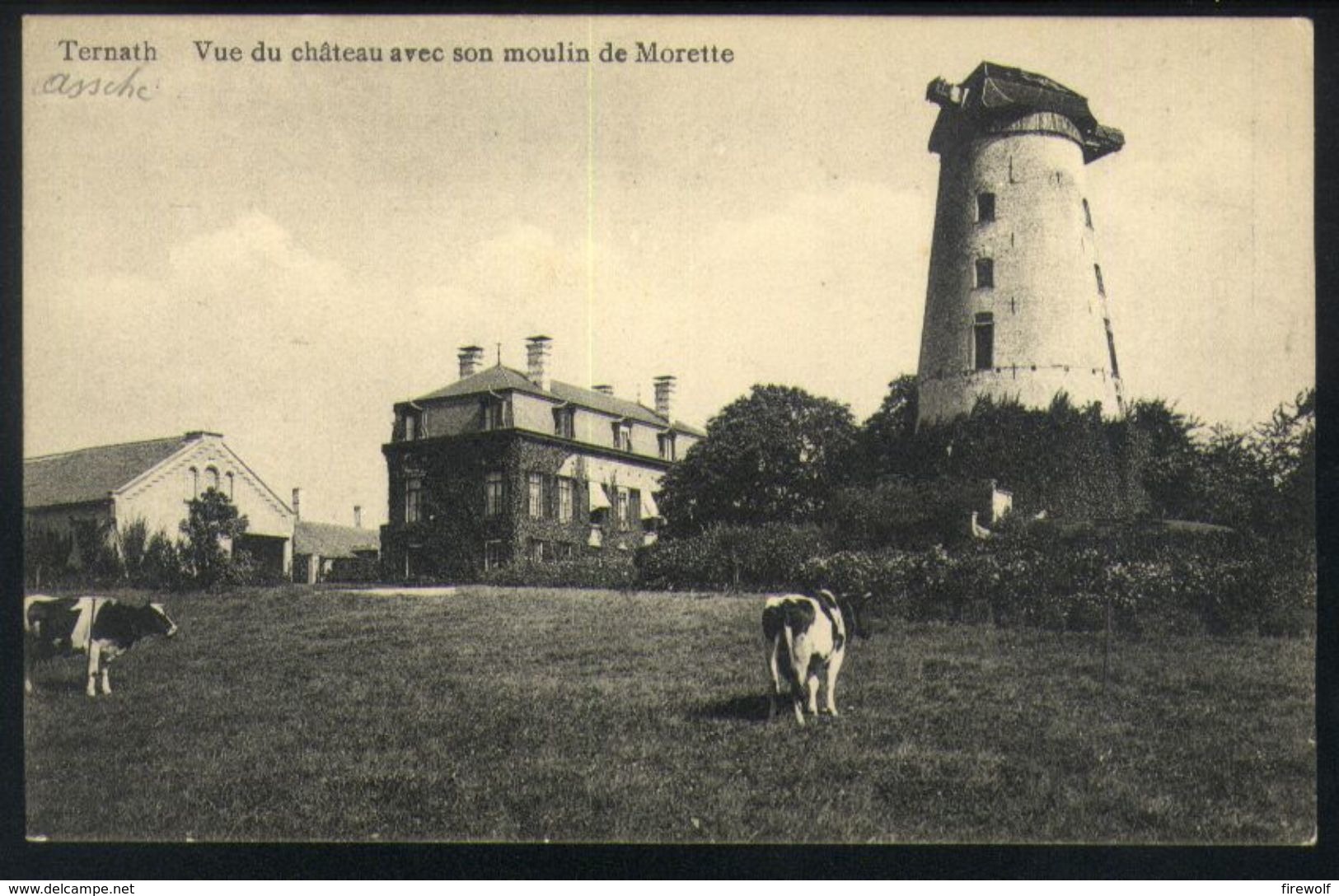 Z06 - Ternat - Vue De Château Avec Son Moulin De Morette / Molen - Ongebruikt - Ternat