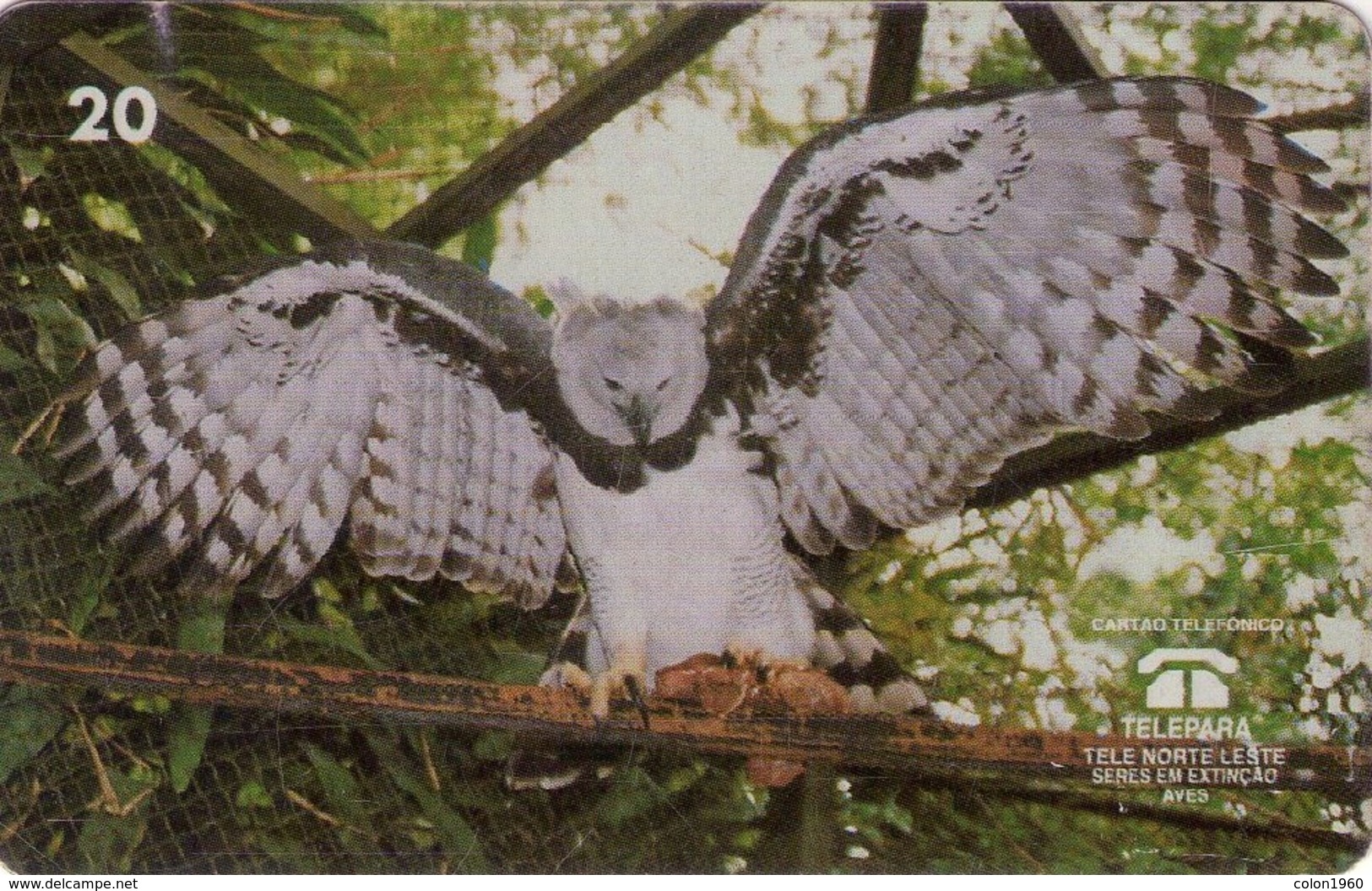 TARJETA TELEFONICA DE BRASIL. FAUNA, GAVILAN REAL. (255) - Aigles & Rapaces Diurnes