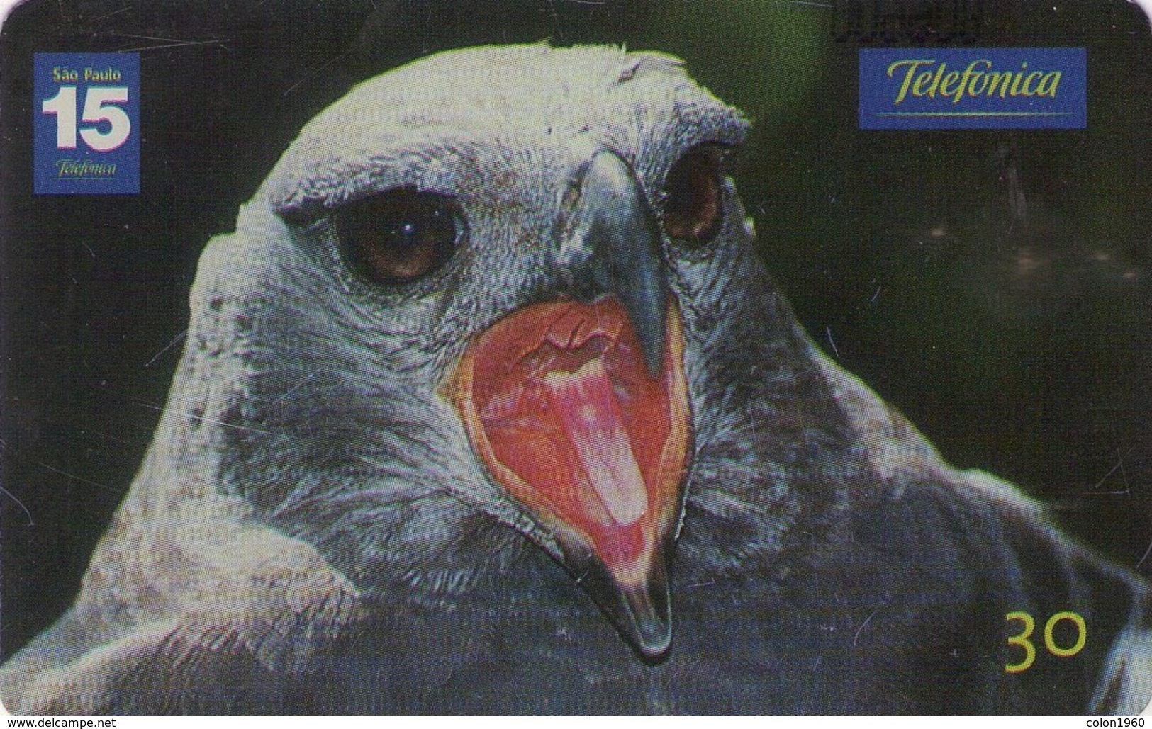 BRASIL. FAUNA. Falsa Hárpia Ou Uiraçu - 26/26 - N 32*. 2001-11. BR-TEL-BR-1201-32. (256) - Eagles & Birds Of Prey