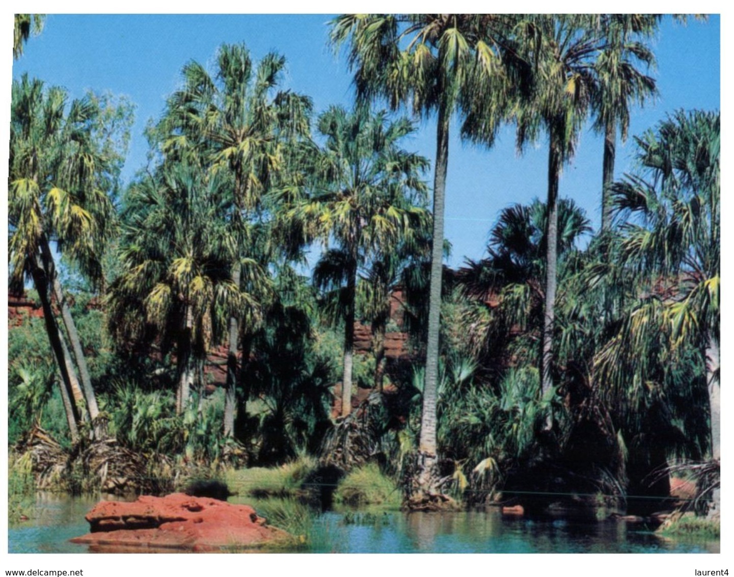 (292) Australia - NT - Palm Valley - Alice Springs