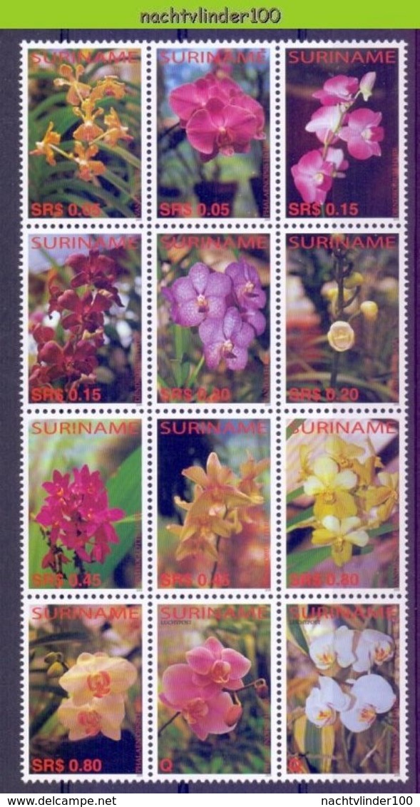 Nds1326 * SPECIAL* FLORA BLOEMEN ORCHIDEE FLOWERS ORCHIDS BLUMEN FLEURS FLORES SURINAME 2005 PF/MNH - Orchideeën