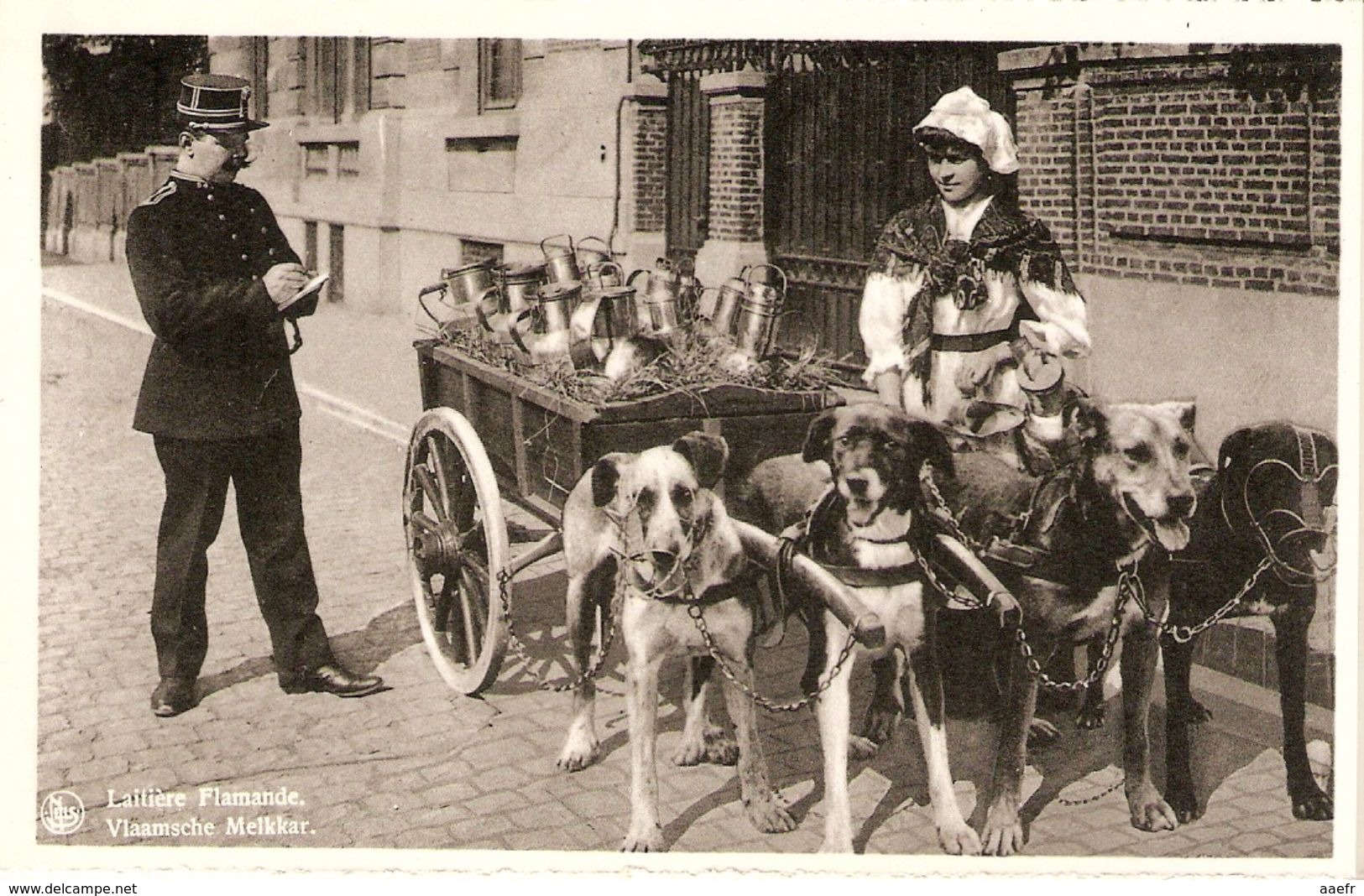 CPA Chien - Attelage Canin, Laitière - Melkvrouw - Flandre, Vlaanderen - Belgique - Brugge