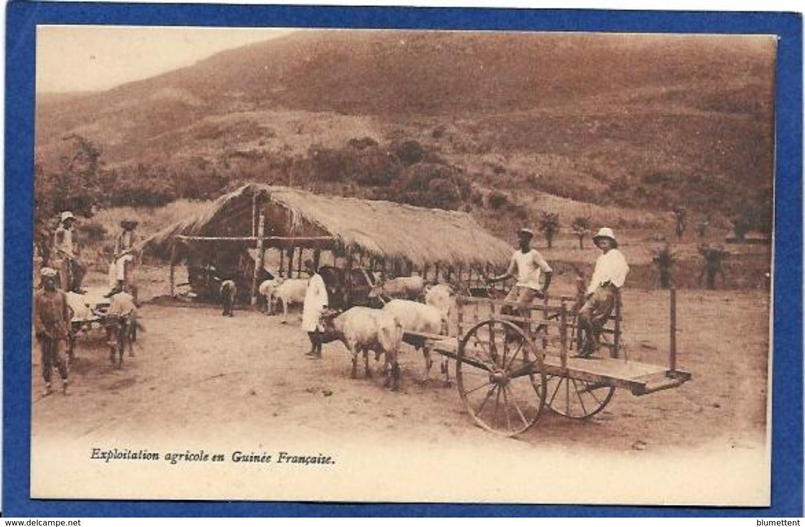 CPA Guinée Type Ethnic Afrique Noire Non Circulé - Guinée Française