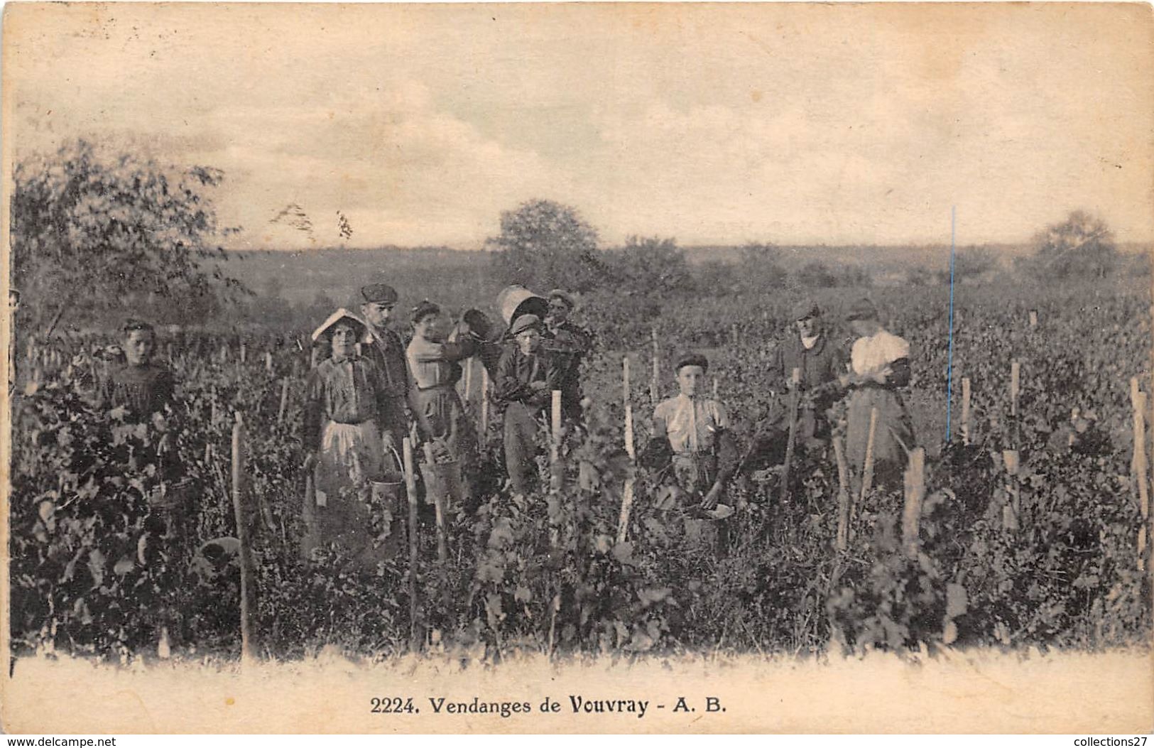 37-VOUVRAY- VENDANGES - Vouvray