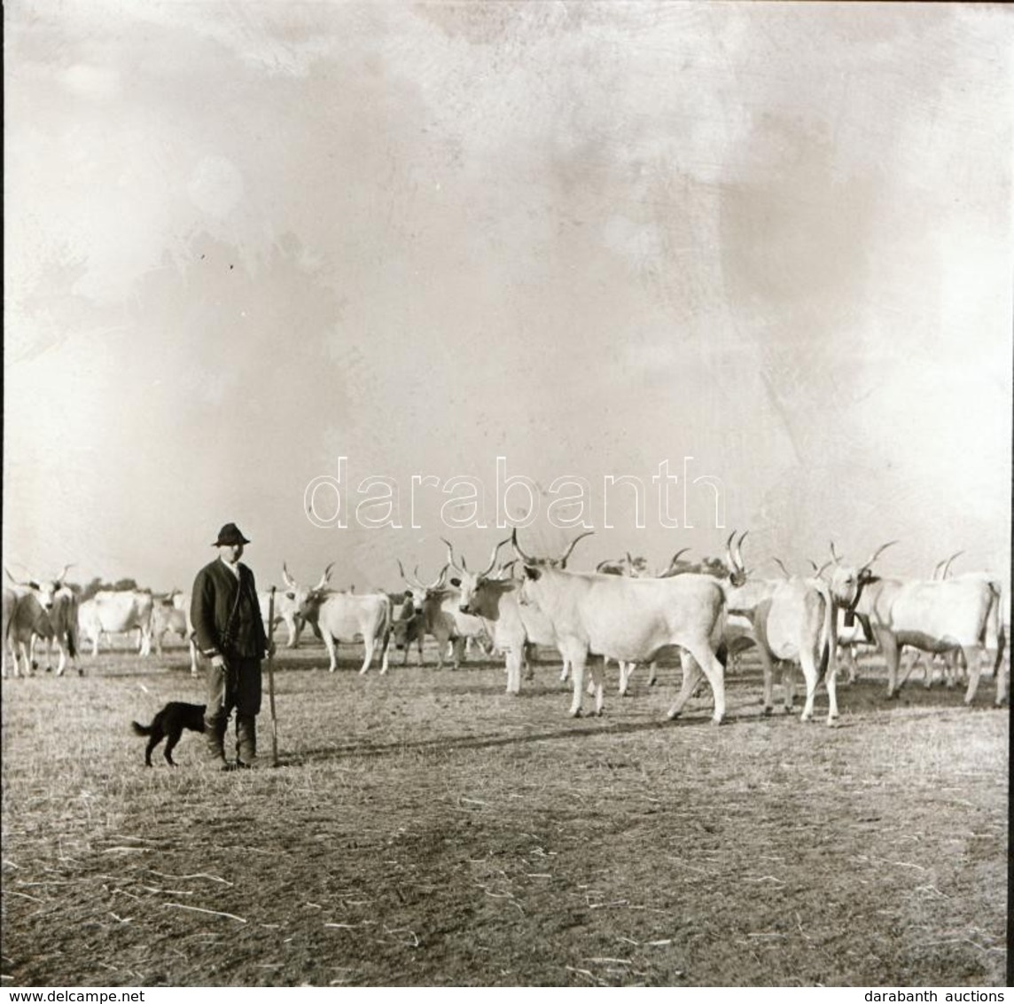 Cca 1936 Békéscsaba Környéki Tanyavilág, Thöresz Dezs? (1902-1963) Békéscsabai Gyógyszerész és Fotóm?vész Hagyatékából 1 - Other & Unclassified