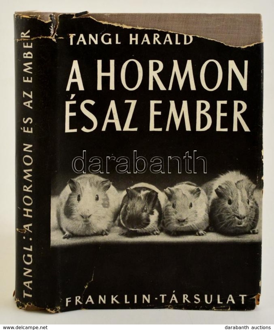 Tangl Harald: A Hormon és Az Ember. A Búvár Könyvei. VI. Kötet. Bp., é.n., Franklin. Kiadói Egészvászon-kötés, Kiadói Sz - Non Classés