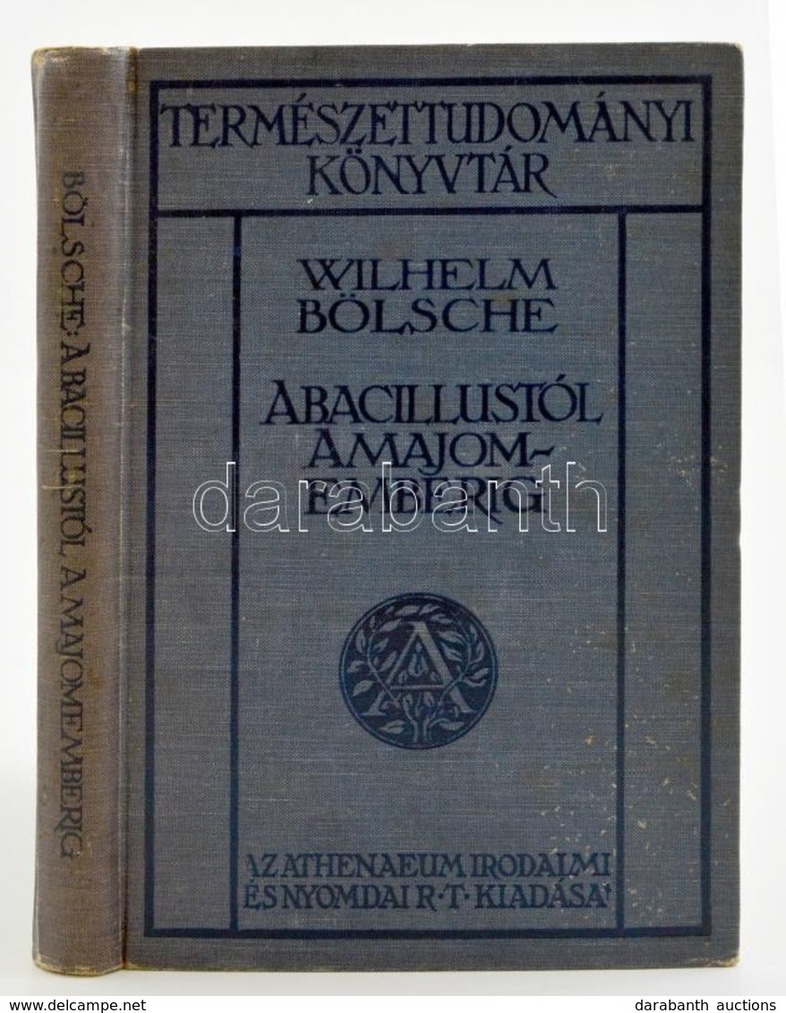 Wilhelm Bölsche: A Bacillustól A Majomemberig. Fordította Dr. Pogány József. Természettudományi Könyvtár. Bp, 1910, Athe - Unclassified