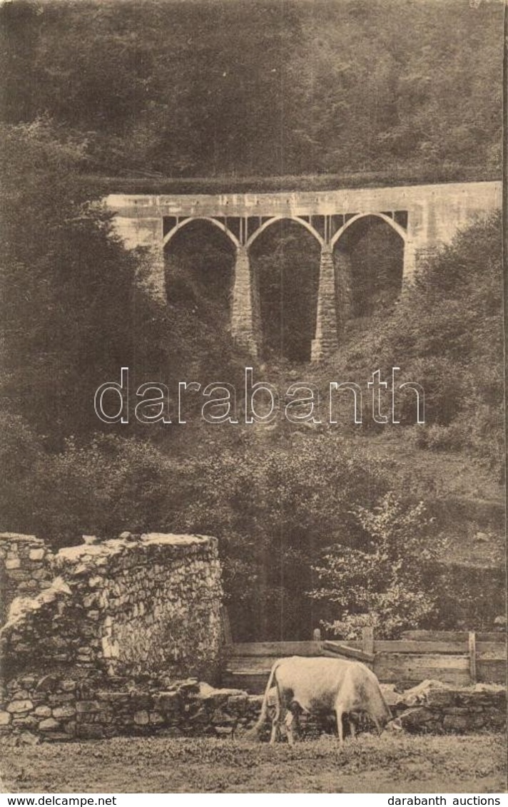 T2/T3 Govasdia, Govajdia; Kaszabányai Részlet, Viadukt, Híd. Prosek Felvétele / Bania De Coase / Viaduct, Bridge (EK) - Unclassified