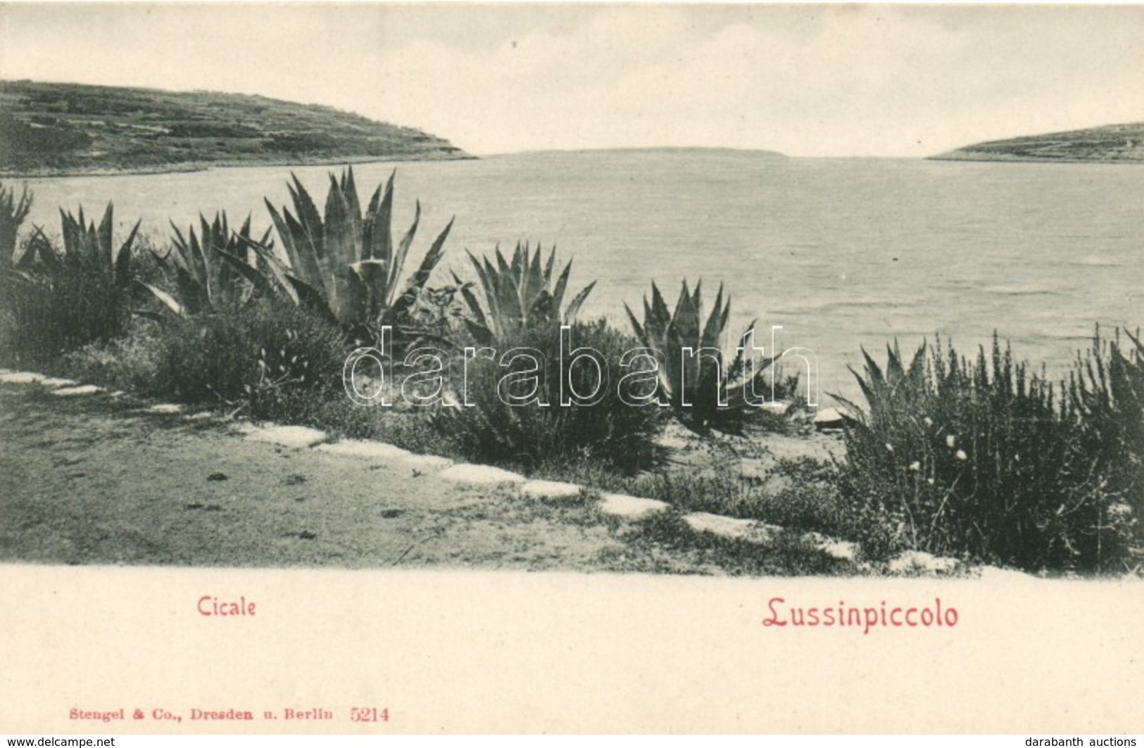 ** T1 Mali Losinj, Lussinpiccolo - Unclassified