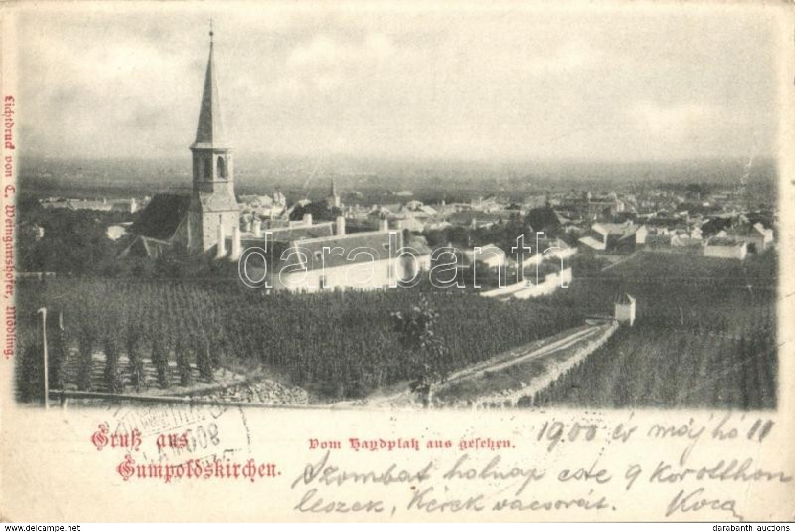 T2/T3 1900 Gumpoldskirchen, General View, Church, Vineyards. Lichtdruck V. Weingartshofer (EK) - Unclassified