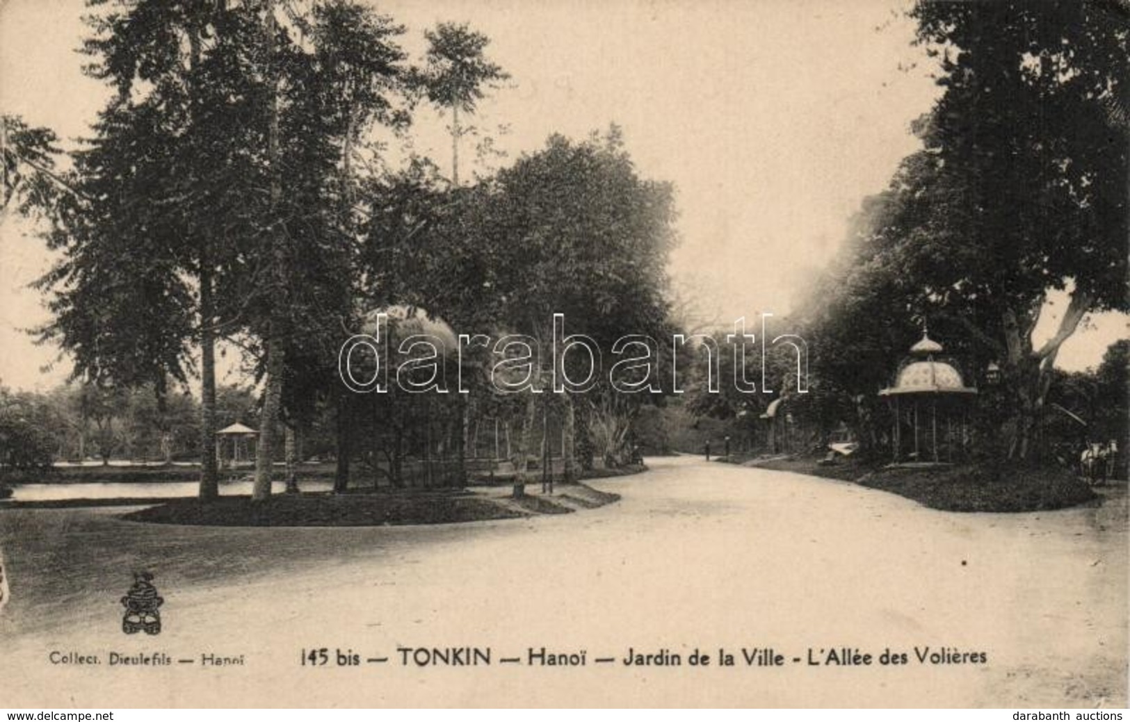 ** T2/T3 Tonkin, Hanoi; Jardin De La Ville, L'Allée Des Voileres / Garden, Alley - Unclassified