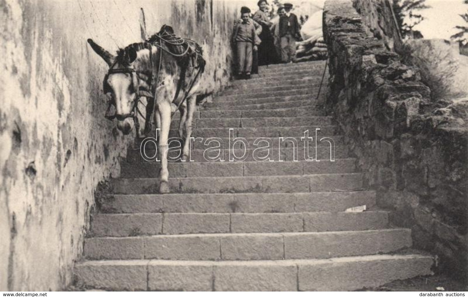 ** T1 Donkey On Stairs - Unclassified