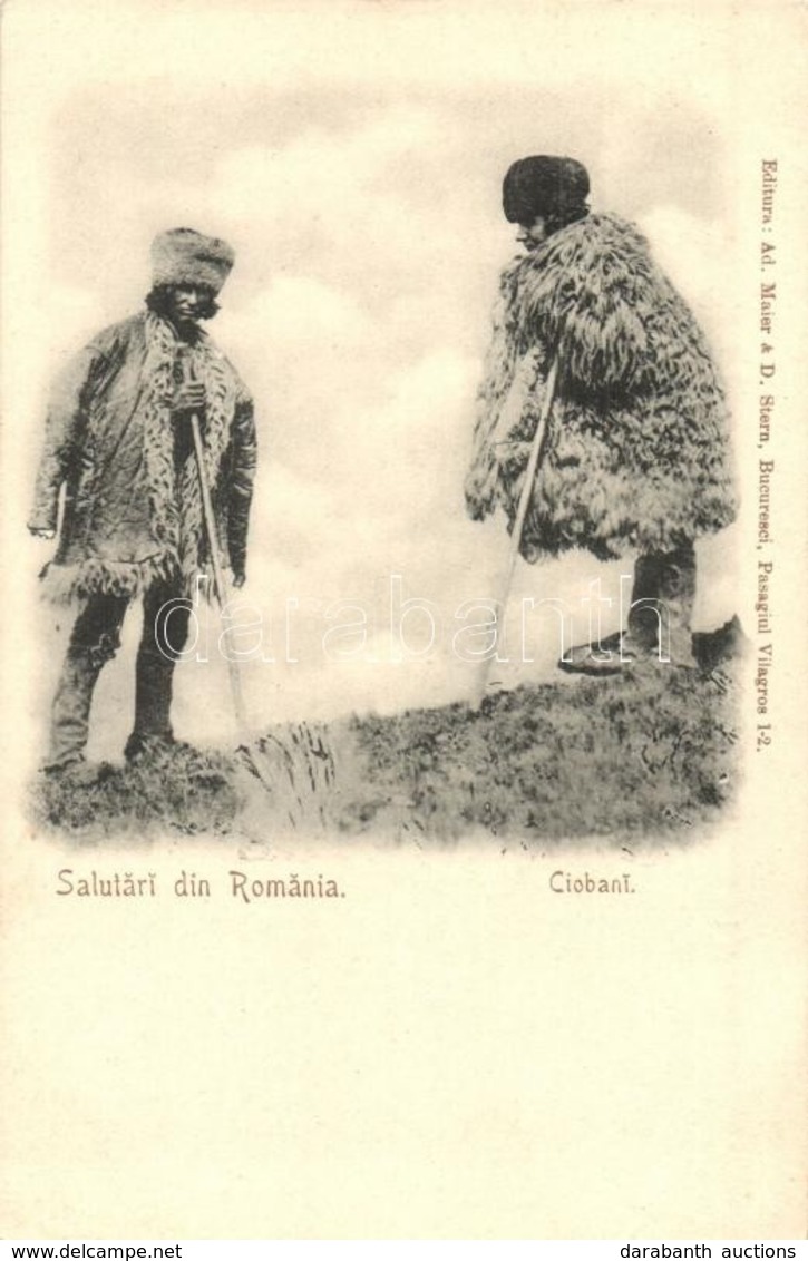 ** T2 Román Pásztorok / Ciobani / Romanian Shepherds. Ed. Ad. Maier & D. Stern - Unclassified