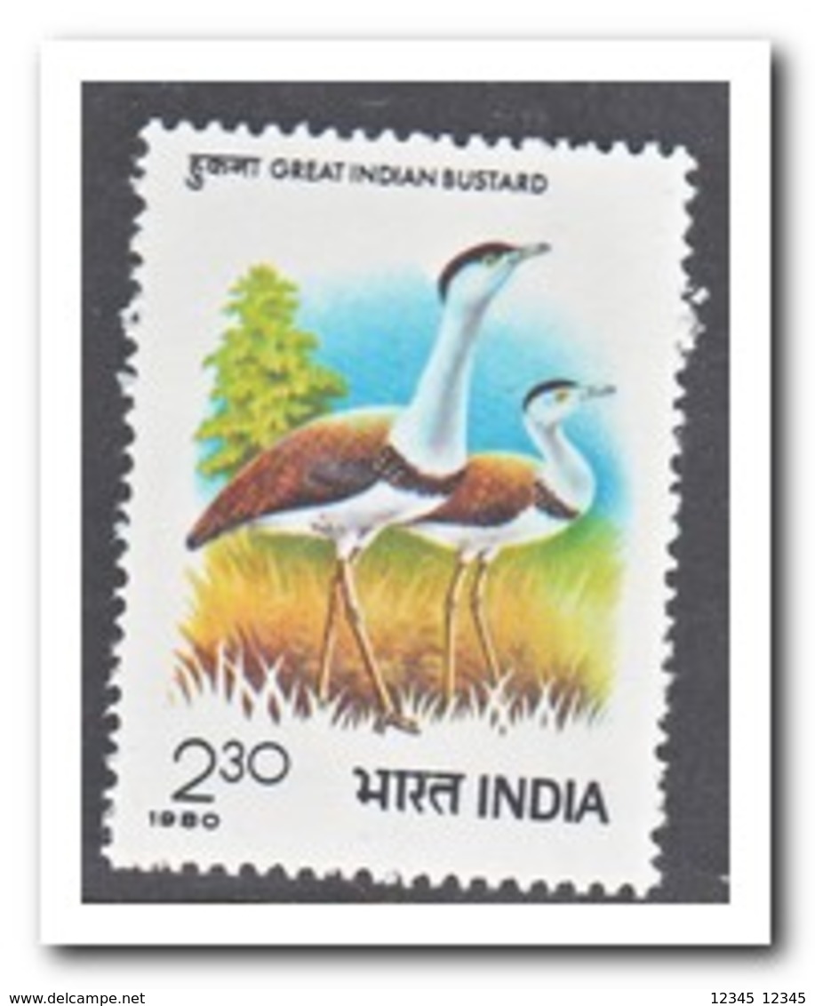 India 1980, Postfris MNH, Birds - Ongebruikt