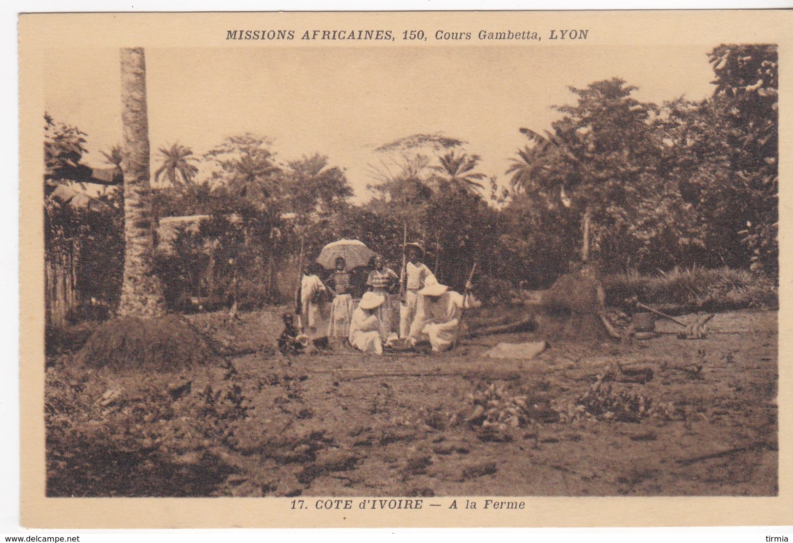 Côte-d'Ivoire - A La Ferme - Côte-d'Ivoire