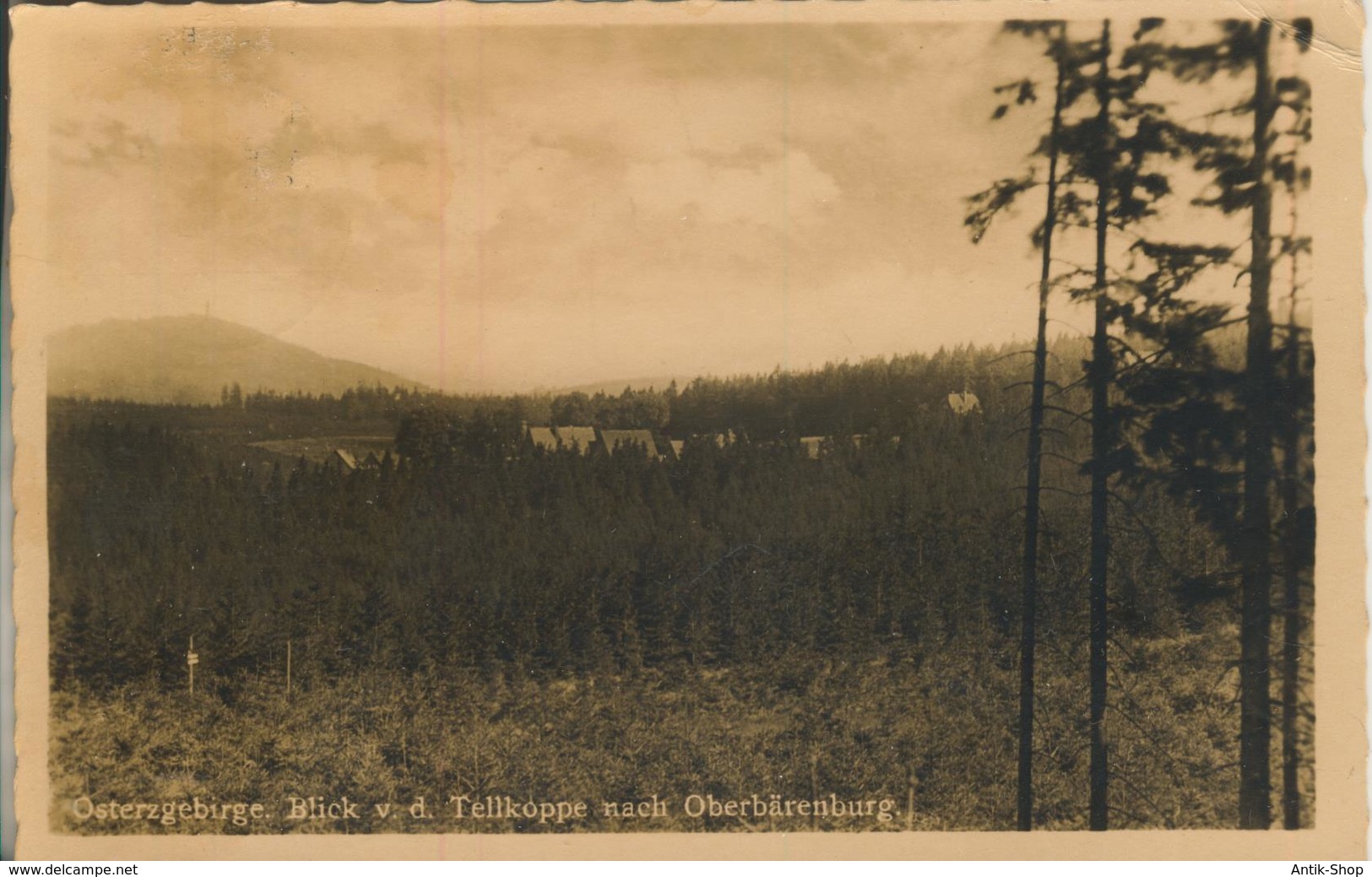 Osterzgebirge V. 1949  Blick V. D. Tellkoppe Nach Oberbärenburg   (923) - Bärenstein