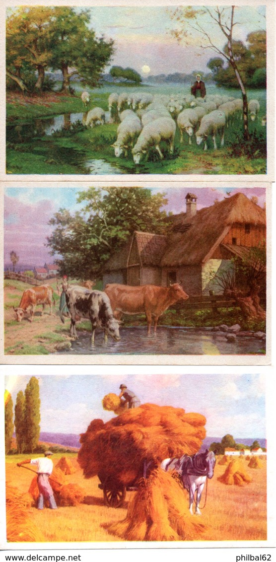 Lot De 3 Buvards Avec Motifs Des Illustrations Des Buvards Crocala (pas D'inscription Publicitaire) - Chocolat