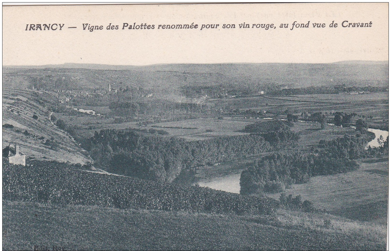 7X - 89 - Irancy - Yonne - Vigne Des Palottes Renomée Pour Son Vin Rouge, Au Fond Vue De Cravant - Autres & Non Classés