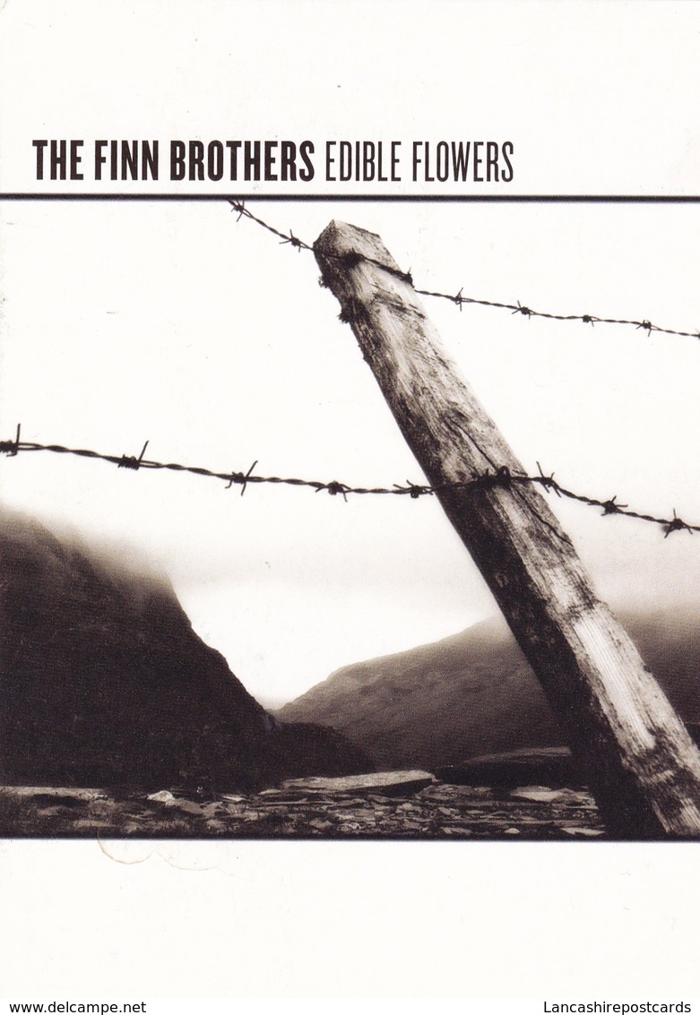 Postcard The Finn Brothers  Promotional / Advertising Release Of Edible Flowers My Ref  B22792 - Music And Musicians