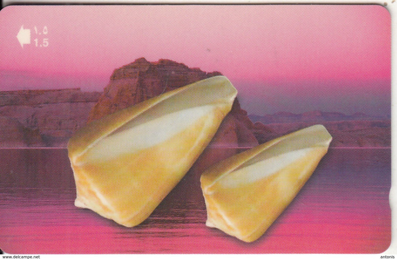 OMAN(GPT) - Seashells Of OMAN/Conus Quercinus, CN : 52OMNB(o With Barred), 04/01, Used - Oman