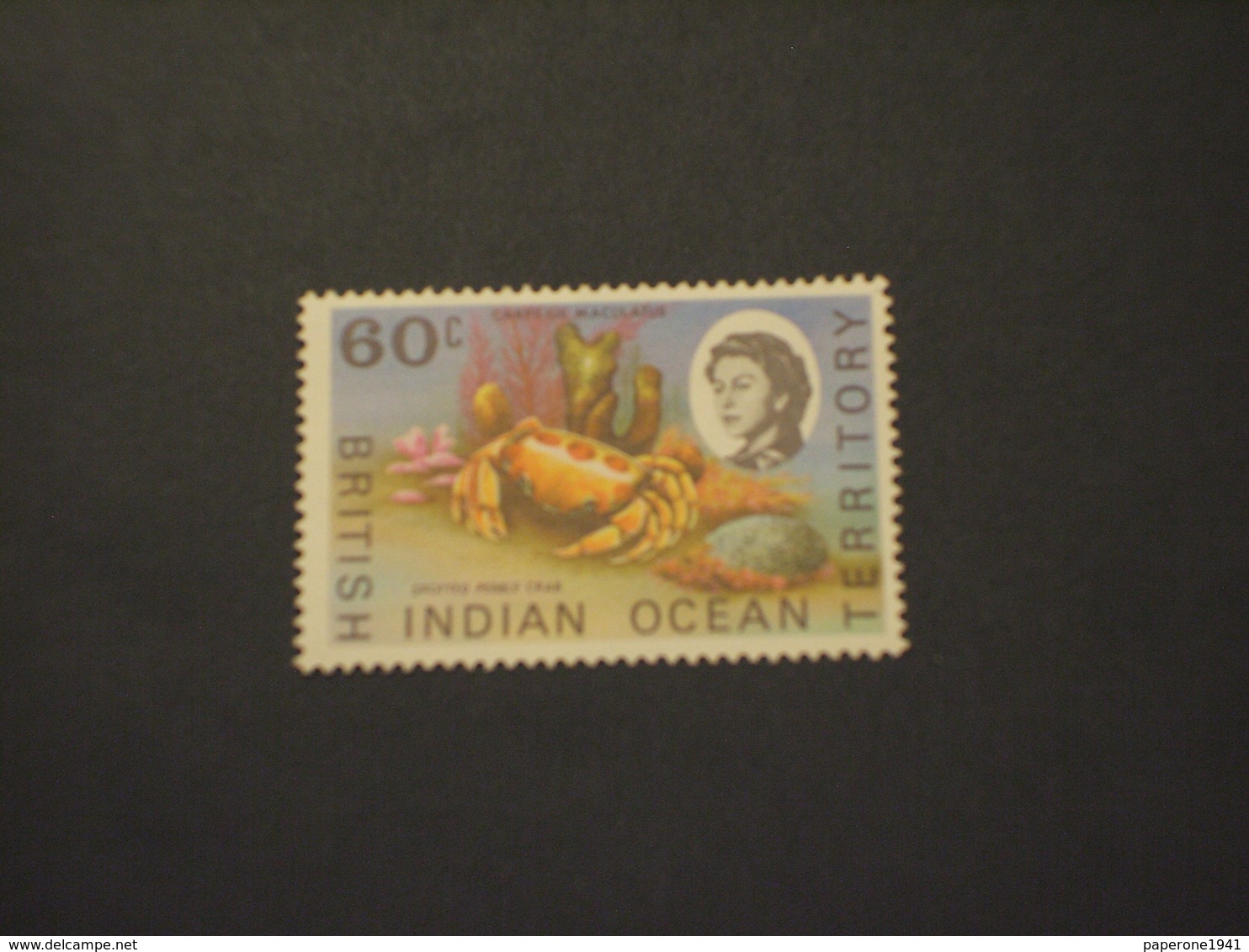 INDIAN OCEAN - 1970 GRECNCHIO  60 C.. - NUOVO(++) - Territorio Britannico Dell'Oceano Indiano