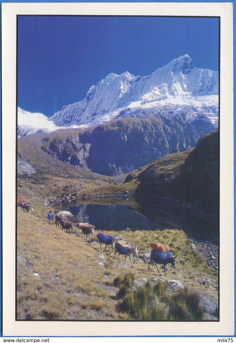 PERU / PEROU - WHITE CORDILLERA / CORDILLERE BLANCHE Photo By Renzo Ucelli - Pérou