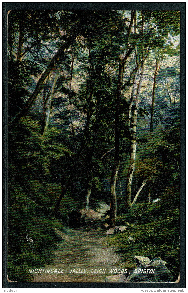 RB 1210 - Early Postcard - Nightingale Valley - Leigh Woods Bristol Gloucestershire - Bristol