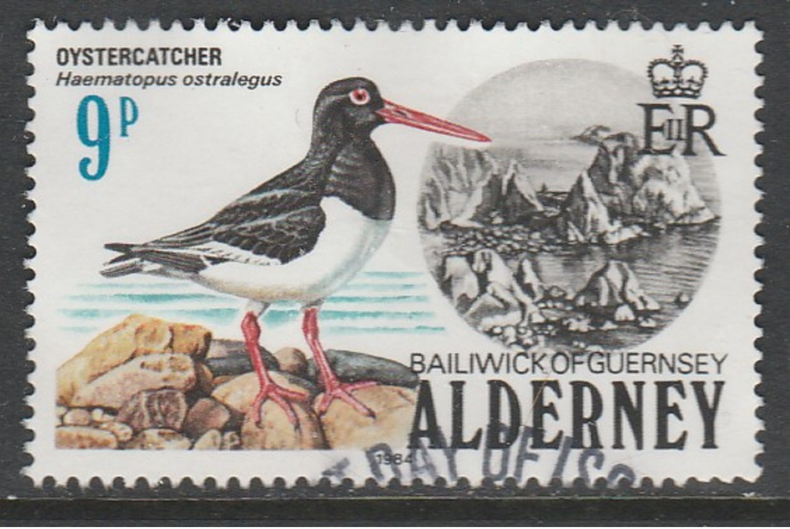 Alderney 1984 Birds 9 P Multicolored SG 13 O Used - Alderney