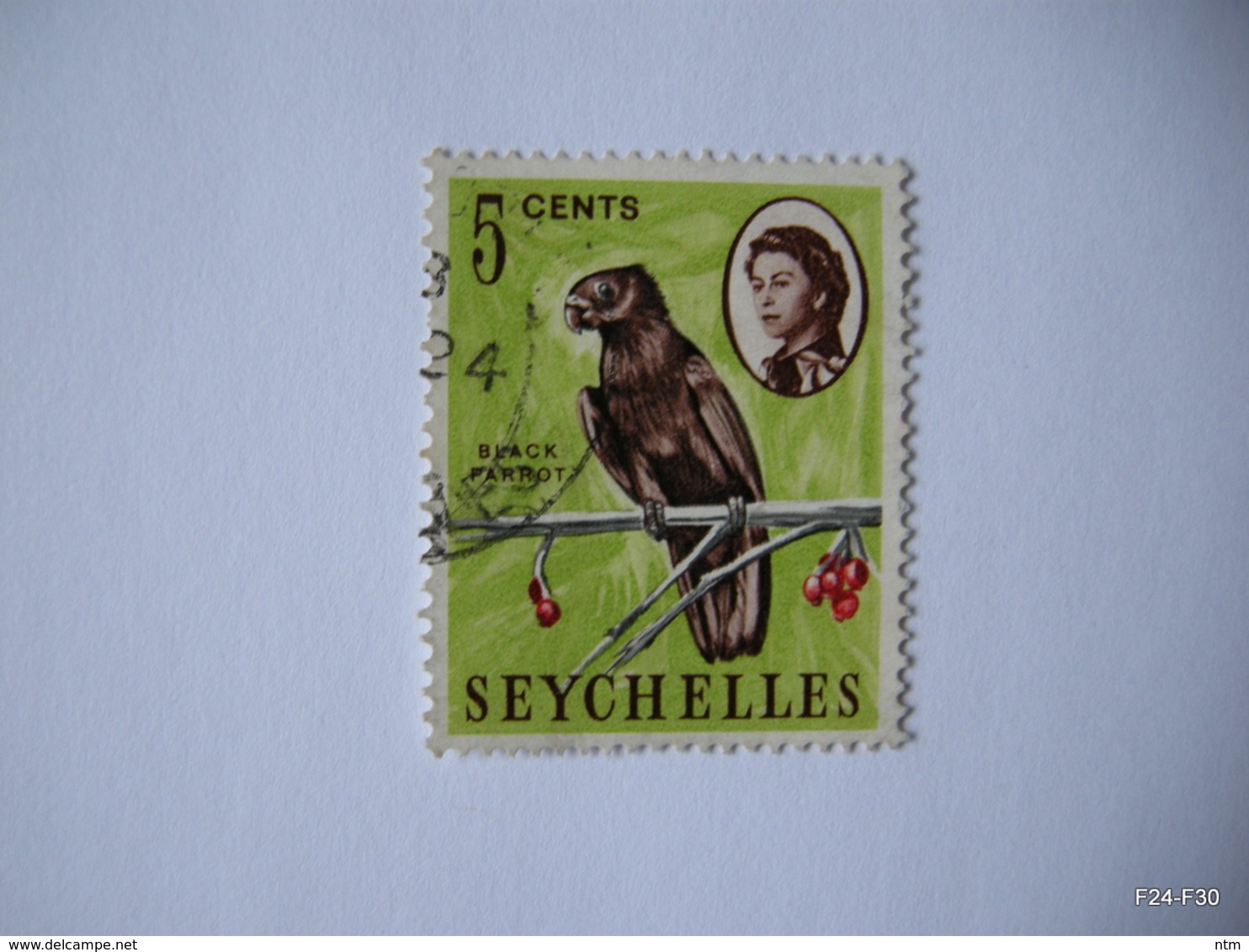 SEYCHELLES 1962. Black Parrot. 5c. SG 233. Used. - Seychelles (...-1976)