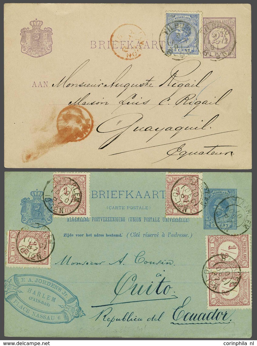 NL 1876-1894 Numerals - Sonstige & Ohne Zuordnung