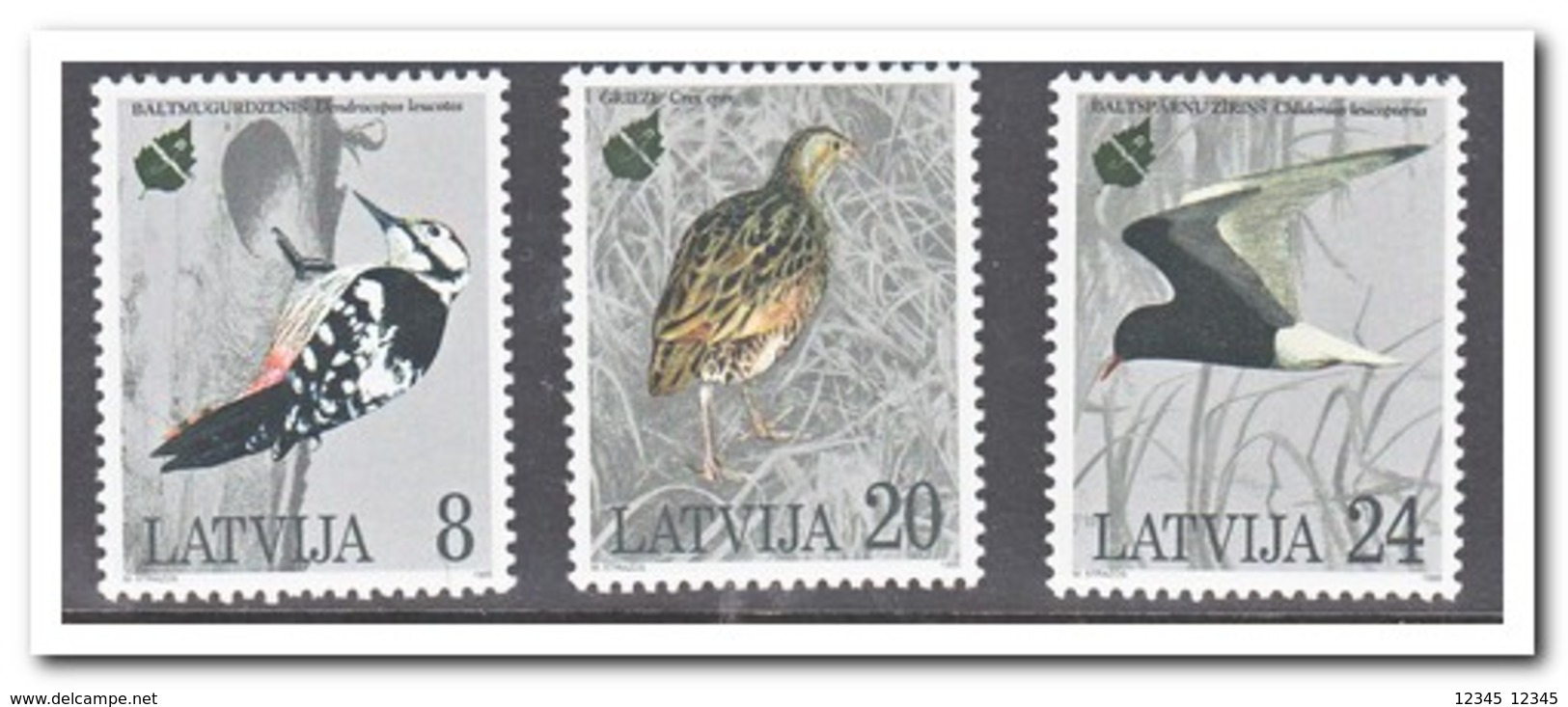 Letland 1995, Postfris MNH, Birds - Letland