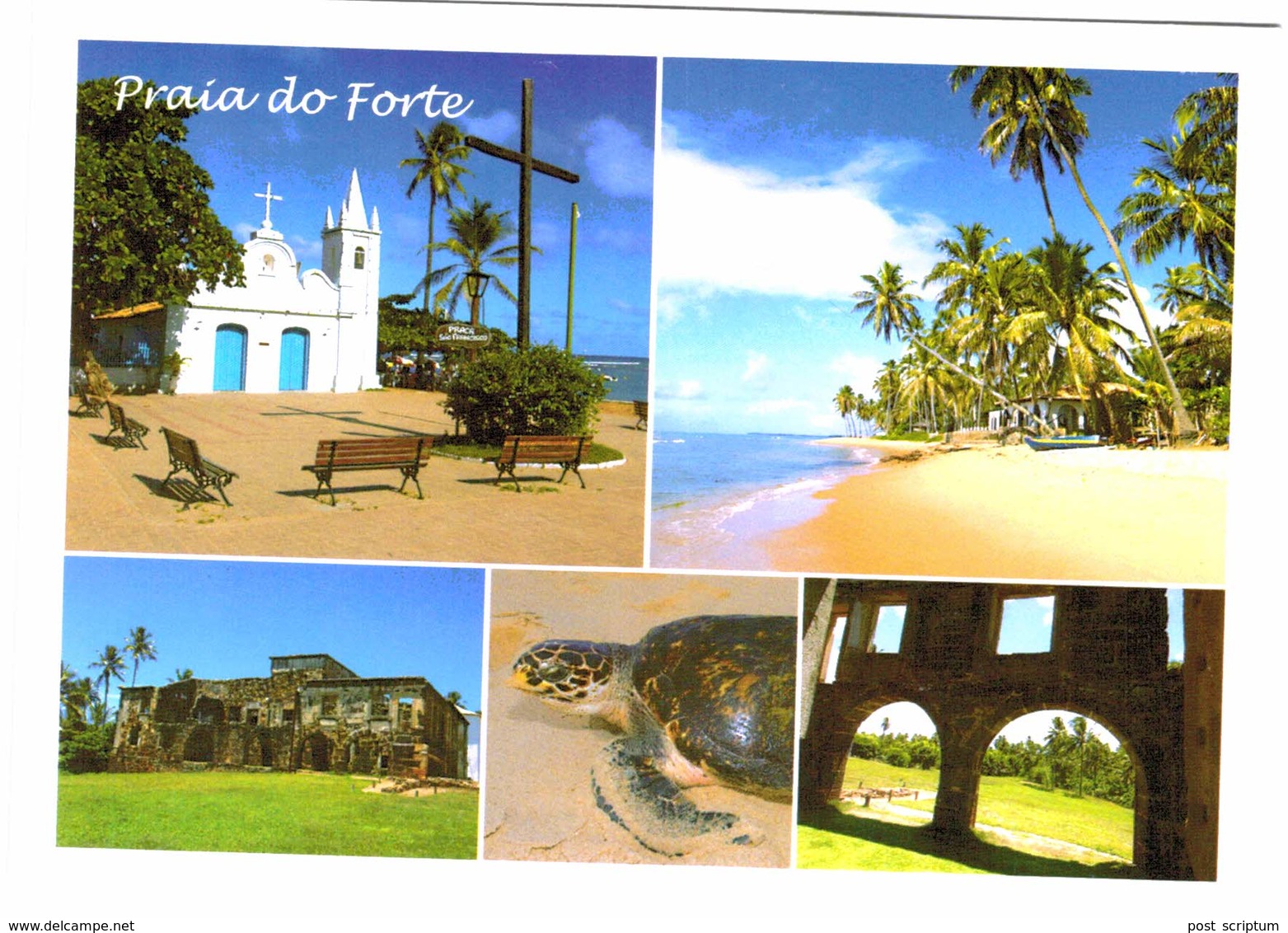 Amérique - Brésil - 2 Cartes - Bahia Praia Do Forte  E Ruinas Do Castelo Garcia D'Avila - Tortue - Autres