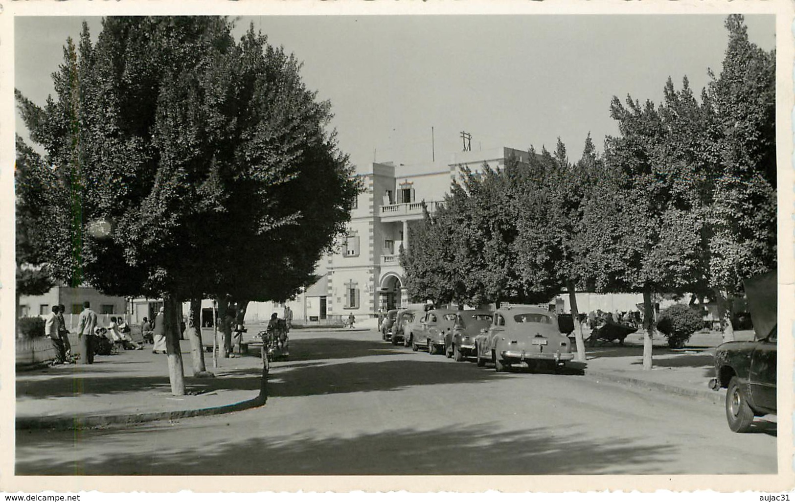 Egypte - Egypt - Voitures - Automobile - Ismaïlia - Carte Photo - 2 Scans - Bon état Général - Ismaïlia