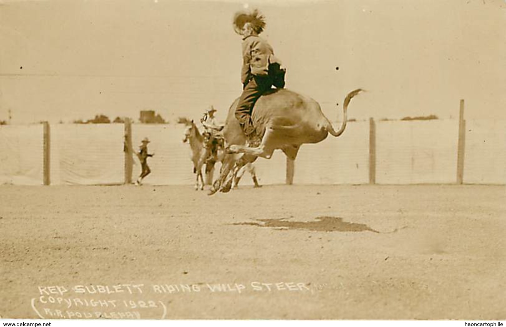 Carte Photo Rodéo - Autres & Non Classés