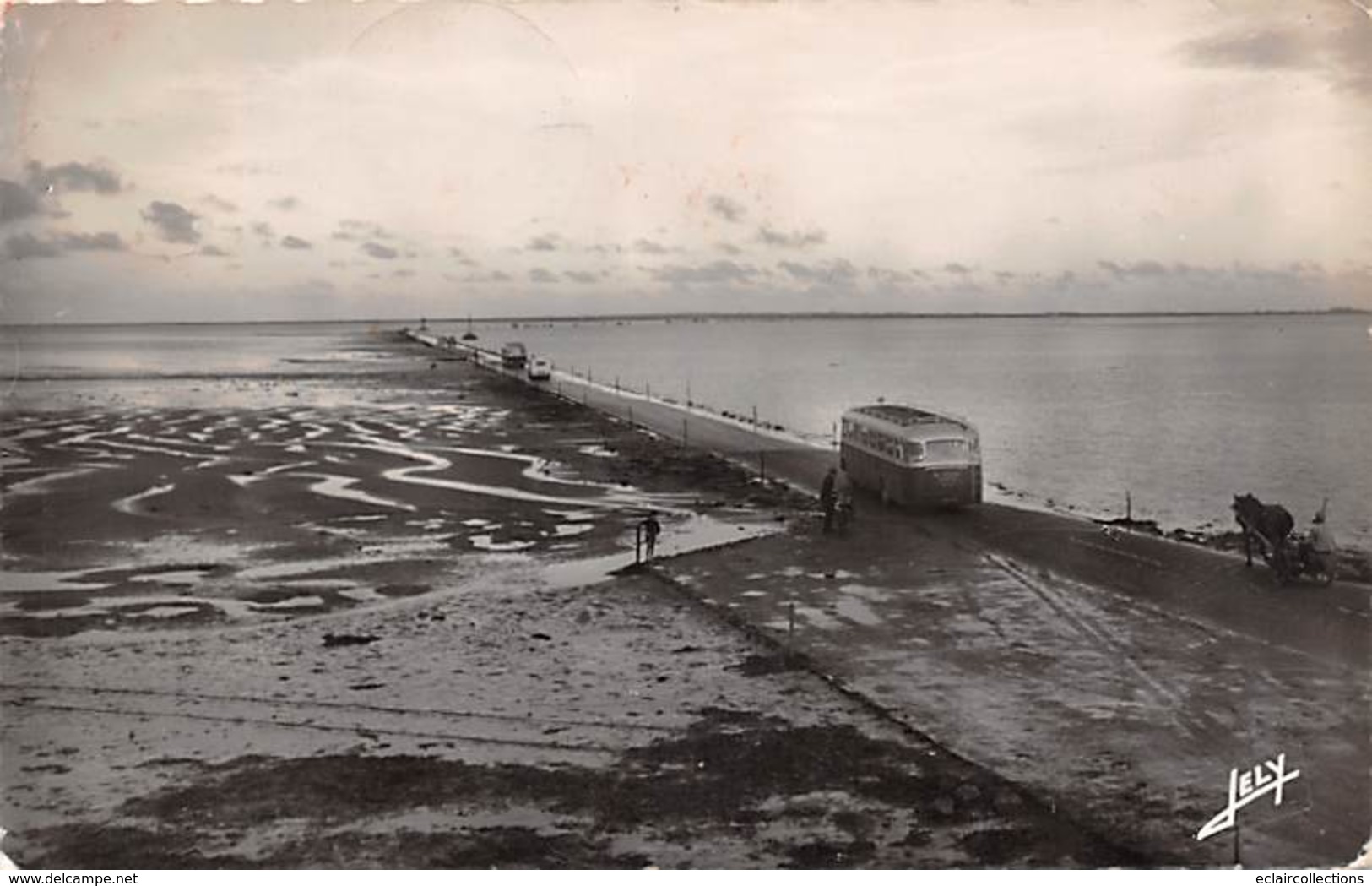 Ile De Noirmoutier  85     Passage Du Gois. Un Autocar       (voir Scan) - Ile De Noirmoutier