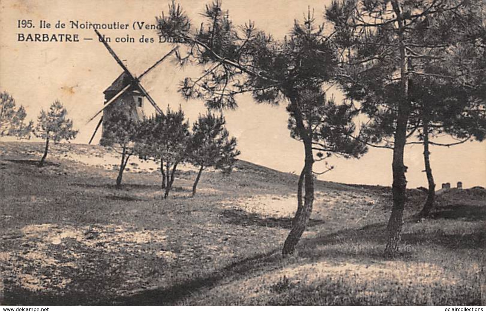 Ile De Noirmoutier  85     Barbâtre. Un Coin Des Dunes   . Moulin  (voir Scan) - Ile De Noirmoutier