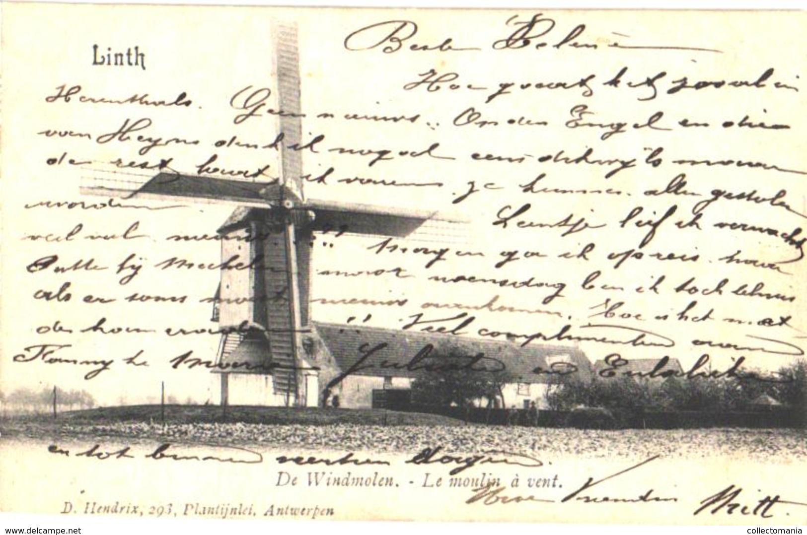 Linth = Lint  1 Oude Postkaart , Niet Verdeelde Rug 1908,  De Windmolen Op De MOLENVELDWEG, Uitgever D. HENDRIX - Lint