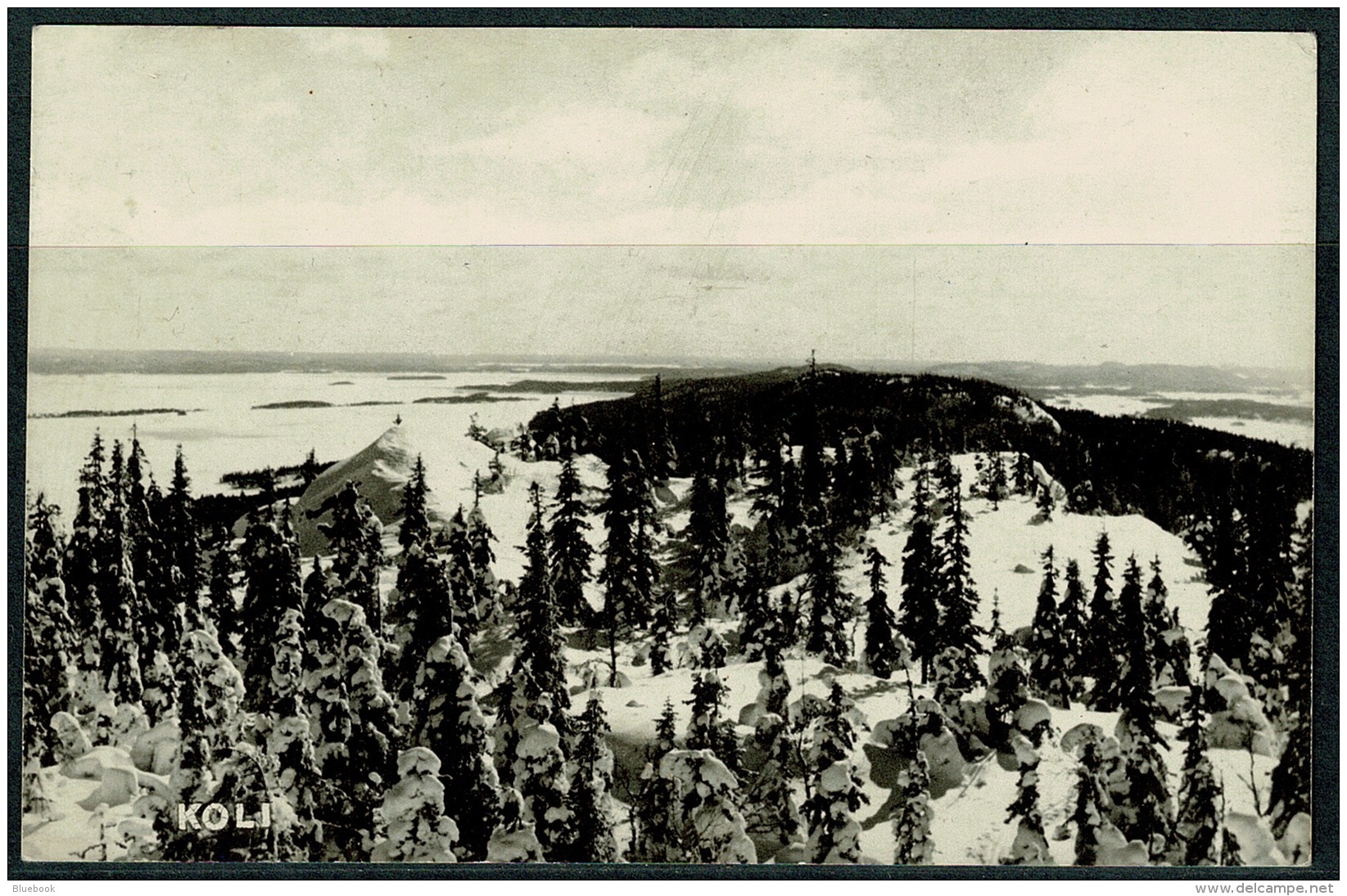 RB 1213 - Real Photo Postcard - Snow Scene - Koli Finland - Finland