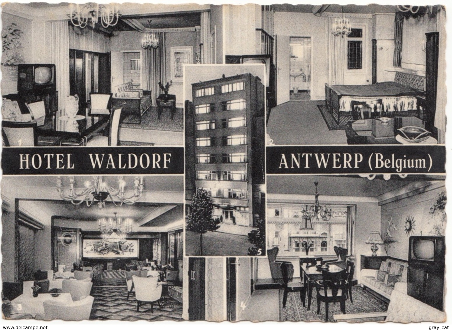 HOTEL WALDORF, ANTWERP, ANTWERPEN, Belgium, 1961 Used Real Photo Postcard [21647] - Antwerpen