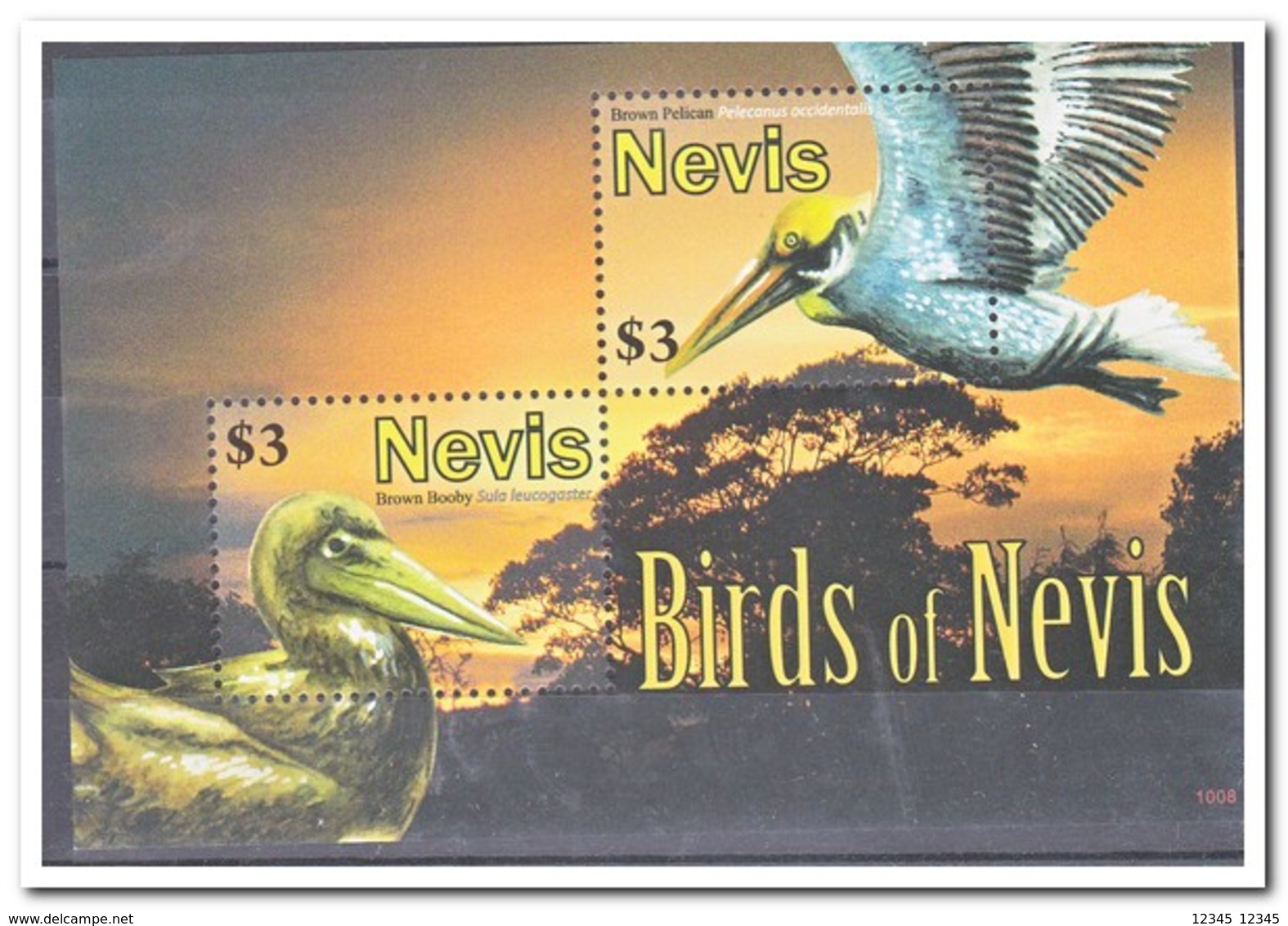 Nevis, Postfris MNH, Birds - St.Kitts En Nevis ( 1983-...)