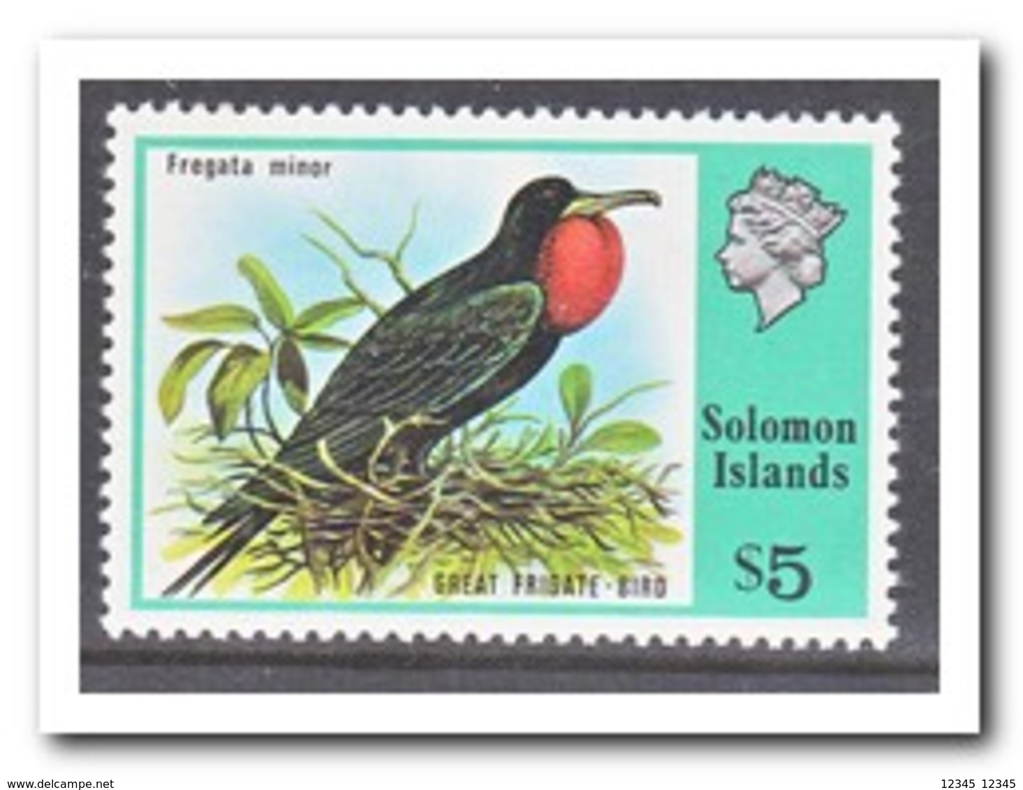 Solomoneilanden, Postfris MNH, Birds - Solomoneilanden (1978-...)