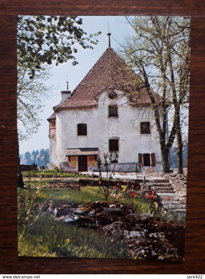 L7/36 Suisse. Valangin. Le Château Et La Terrasse - Valangin