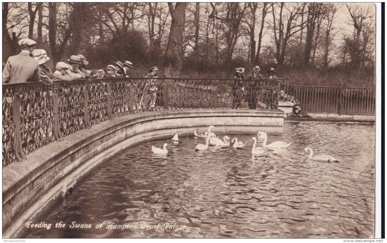 AP01 Feeding The Swans At Hampton Court Palace - London Suburbs