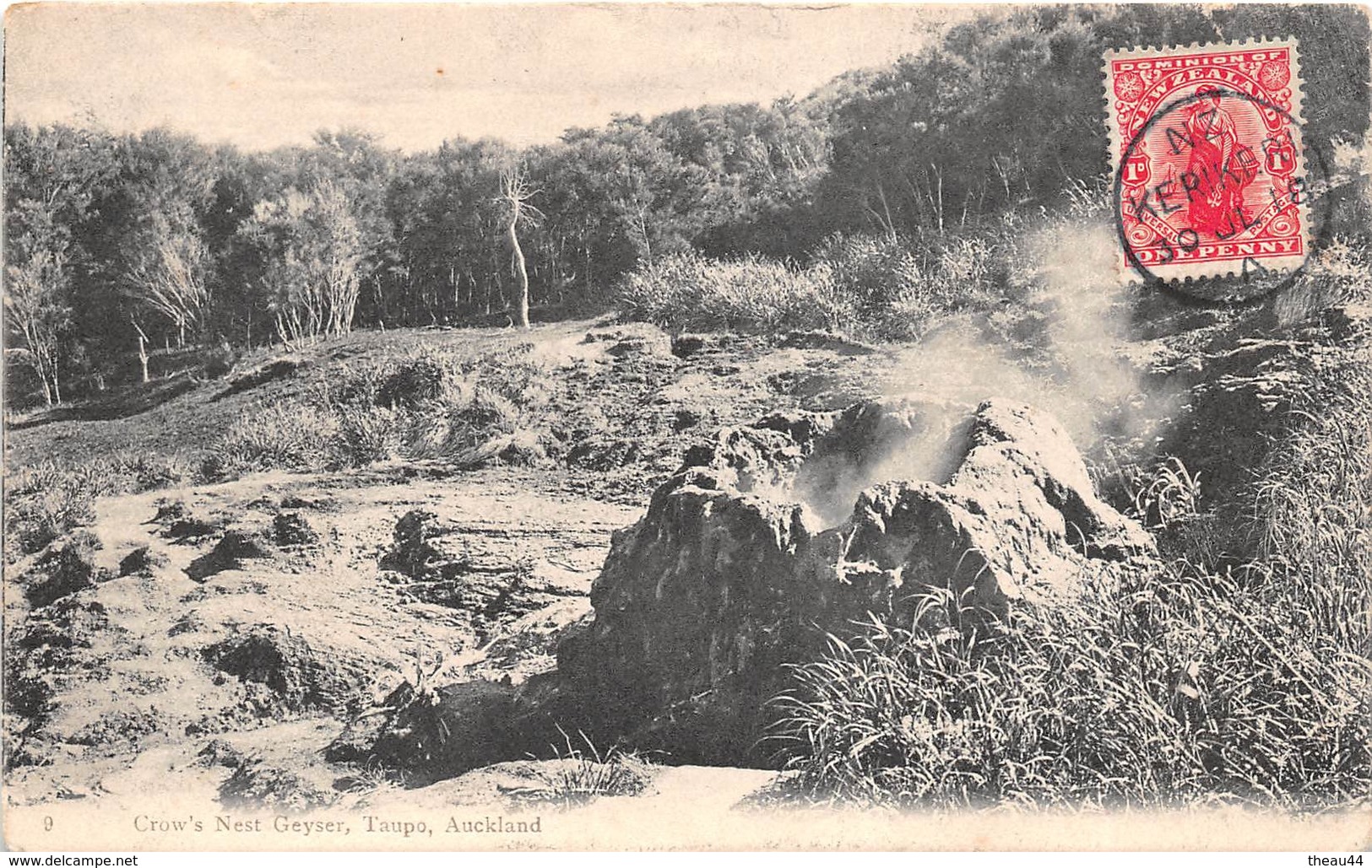 ¤¤  -  NOUVELLE-ZELANDE   -  AUCKLAND   -  Crow's Nest Geyser, Taupo      -   ¤¤ - New Zealand