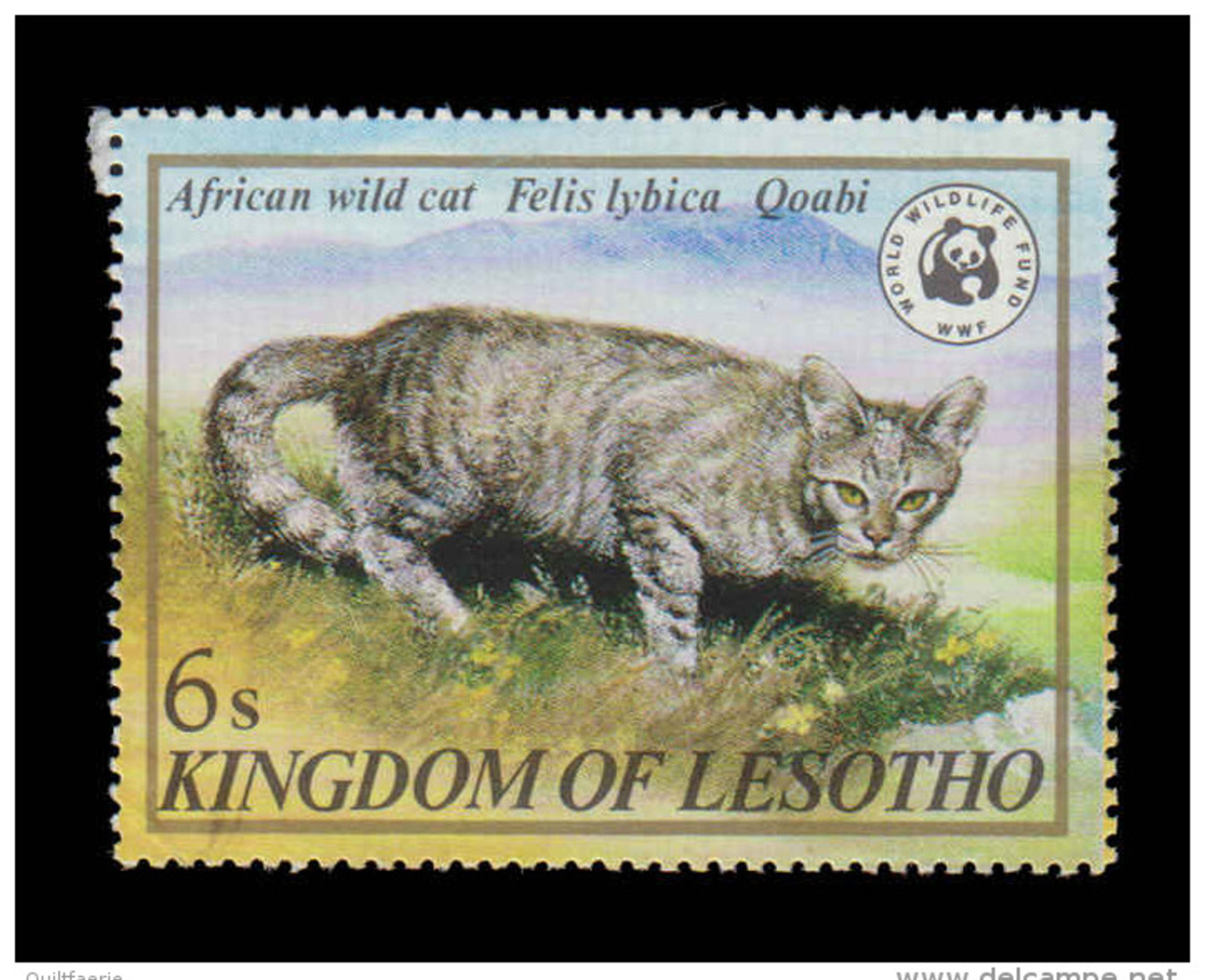 Lesotho Scott #351, 6s Multicolored (1982) African Wild Cat, Mint Never Hinged - Lesotho (1966-...)