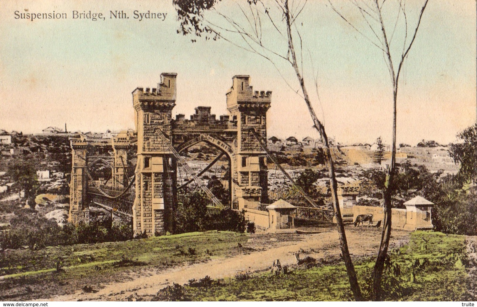 SUSPENSION BRIDGE, NTH. SYDNEY (CARTE COLORISEE) - Outback