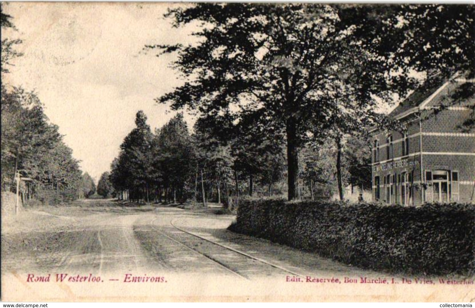 1 Oude Postkaart  Rond Westerloo Environs Uitg.De' Vries Westerloo - Westerlo